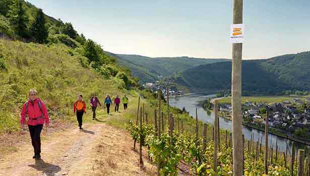 Frauen Wandern entlang der Mosel mit Ausblick auf die Weinberge