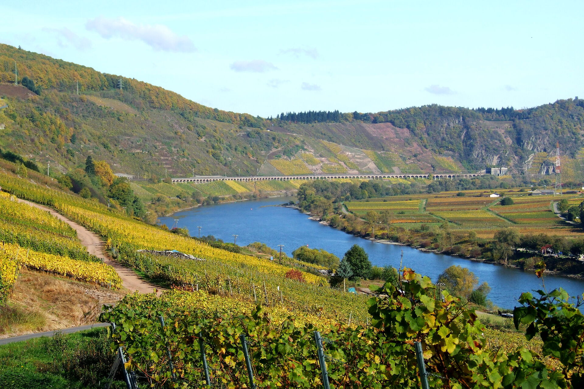 Weinberge und Mosel_Shotshop_iq1-2h